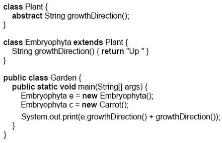 1Z0-804 question #10 exhibit