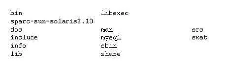 1Z0-876 question #97 exhibit