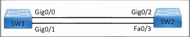 300-420 question #376 exhibit 2