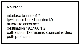 300-510 question #37 exhibit