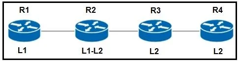 300-510 question #245 exhibit