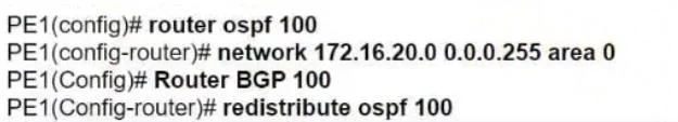 300-510 question #231 exhibit 4
