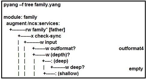 300-535 question #1 exhibit