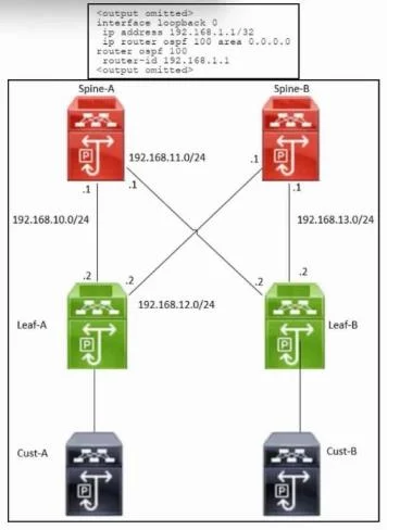 300-540 question #15 exhibit