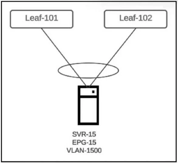 300-620 question #338 exhibit