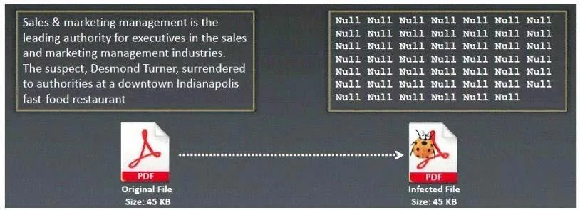 312-50V7 question #461 exhibit