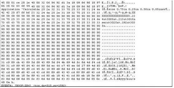 312-50V9 question #555 exhibit