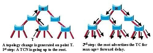 350-001 question #39 exhibit