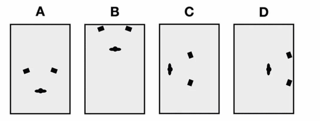 CTS question #104 exhibit