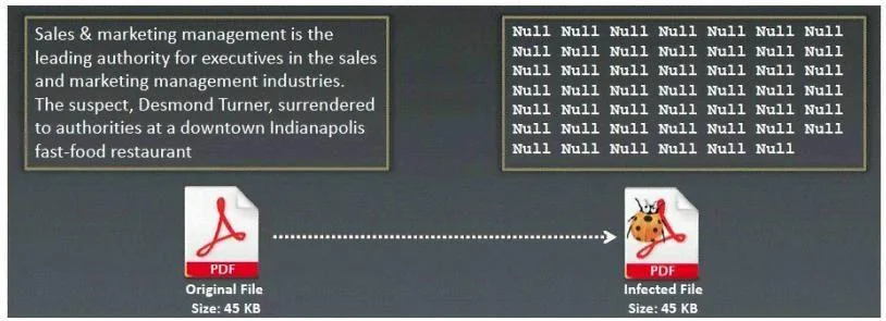 EC0-350 question #68 exhibit