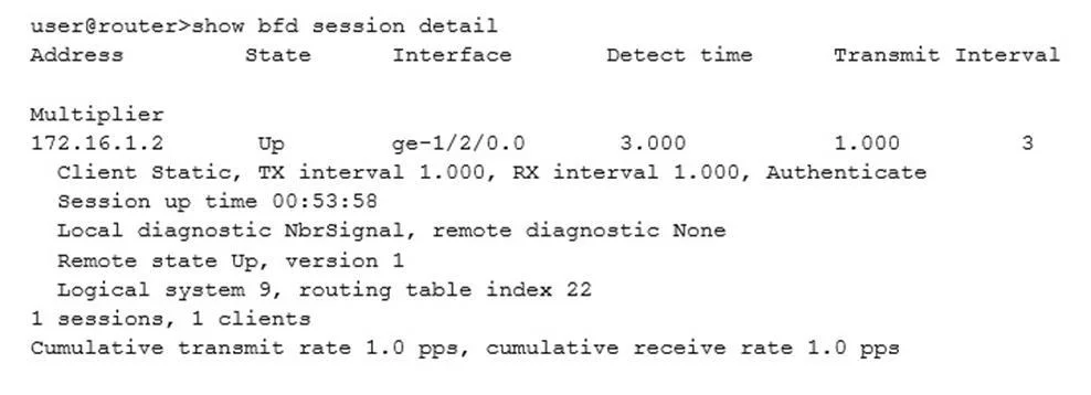 JN0-104 question #222 exhibit