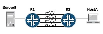 JN0-343 question #442 exhibit