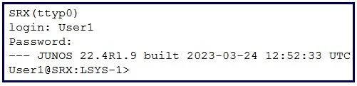 JN0-637 question #108 exhibit