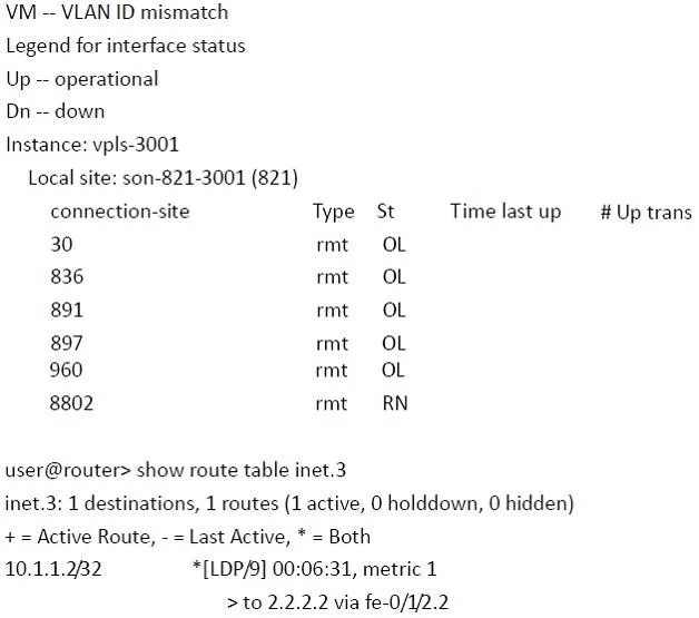 JN0-660 question #222 exhibit 2