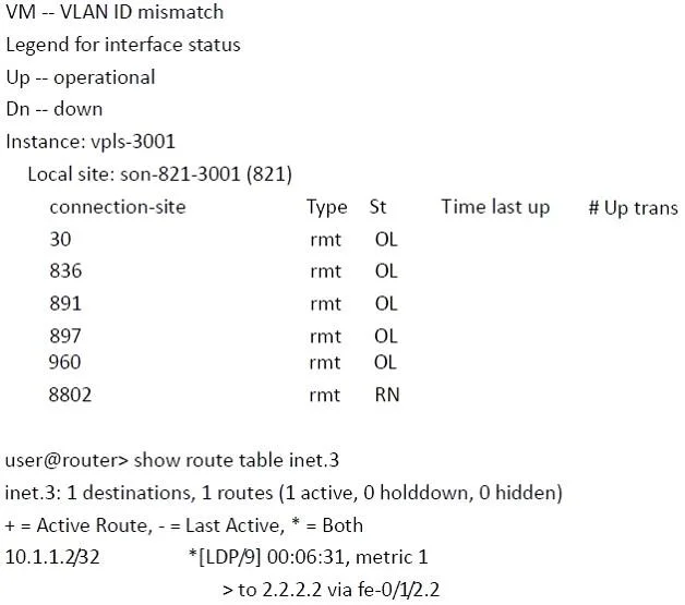 JN0-663 question #118 exhibit 2