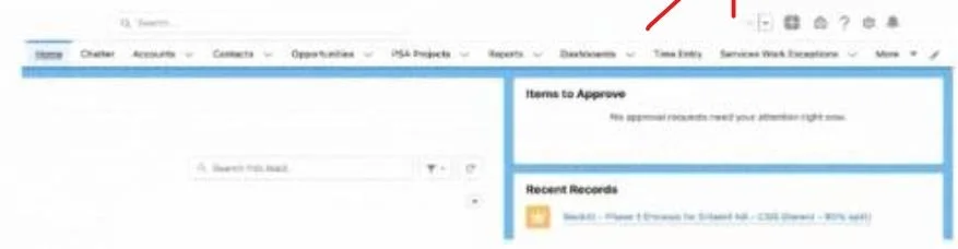 SALESFORCE-ASSOCIATE question #126 exhibit